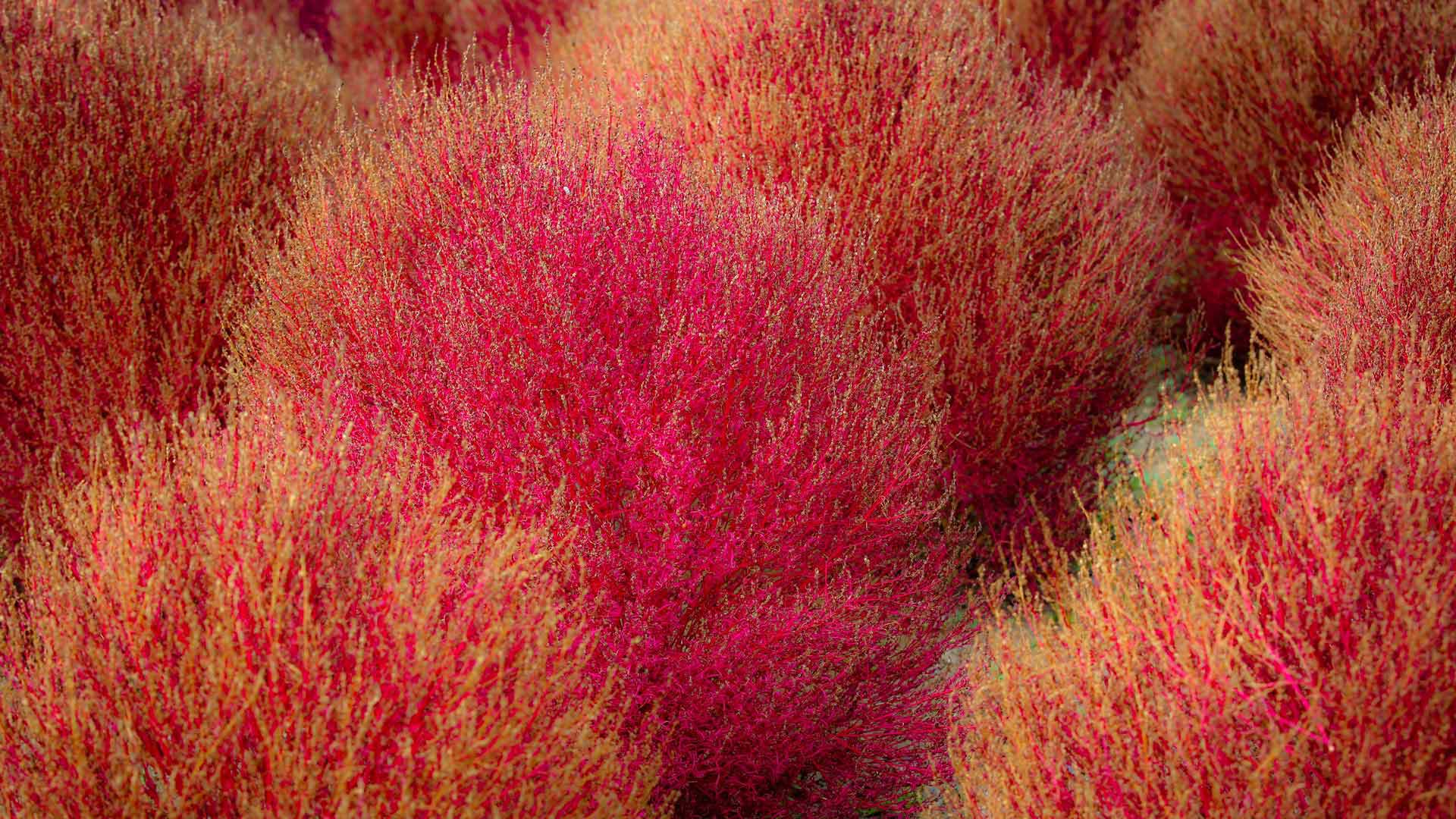 迁移 CentOS7 到 RockyLinux8 的实战方案